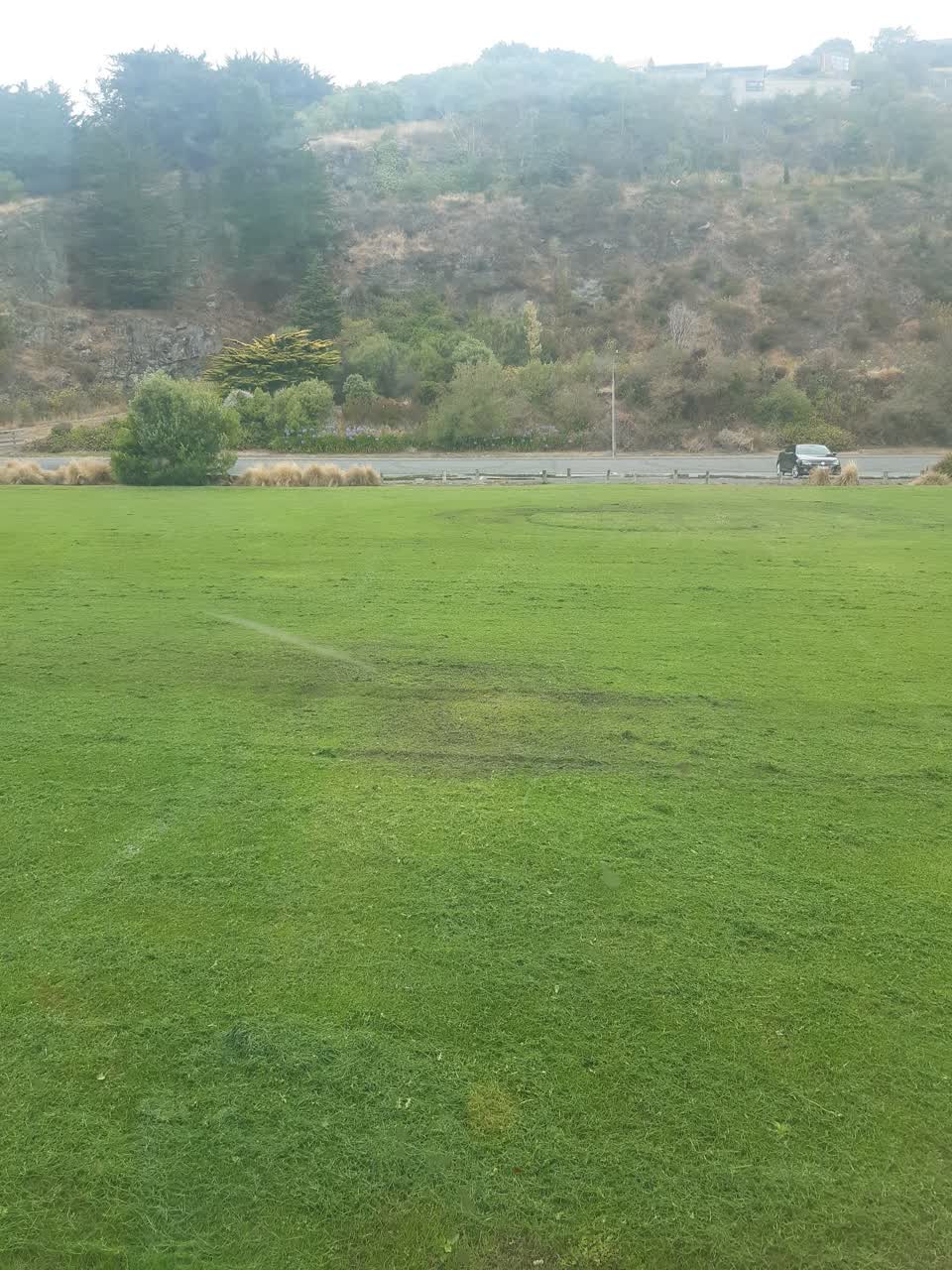 The photograph attached to this parks report