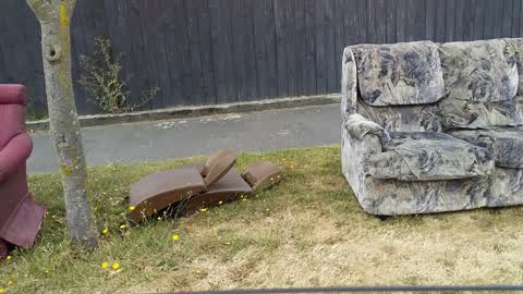 Rubbish/Recycling, a report photo