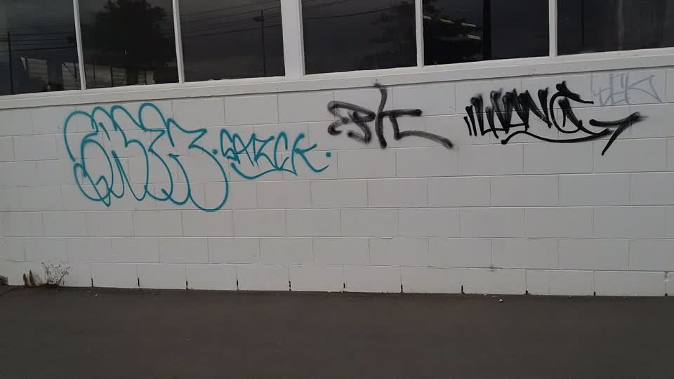 The photograph attached to this graffiti report