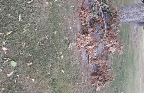Parks, a report photo