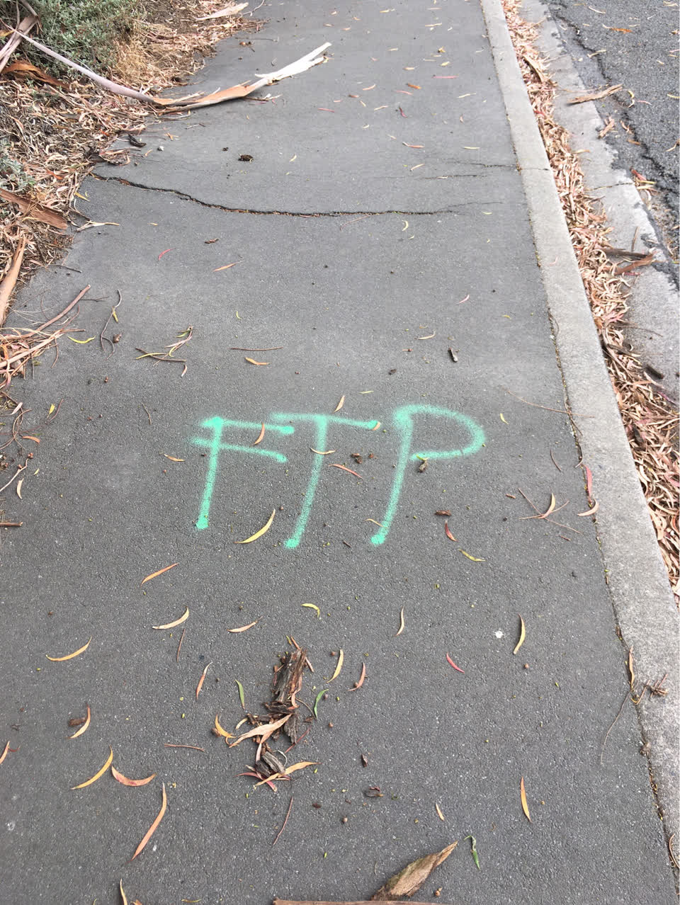 The photograph attached to this roading/streets report