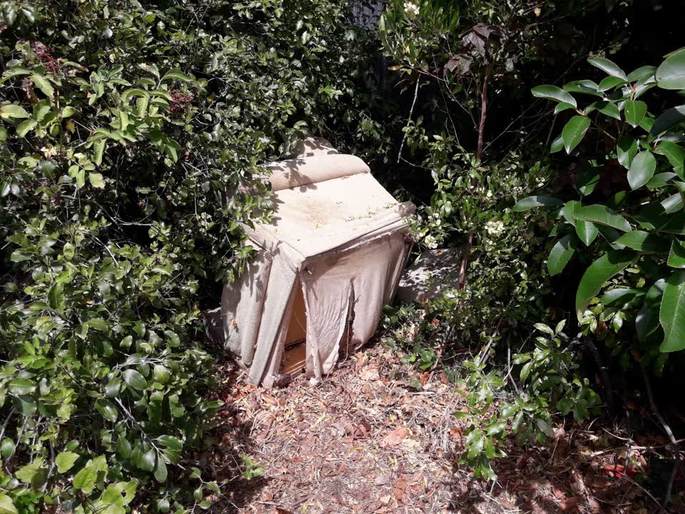 The photograph attached to this rubbish/recycling report