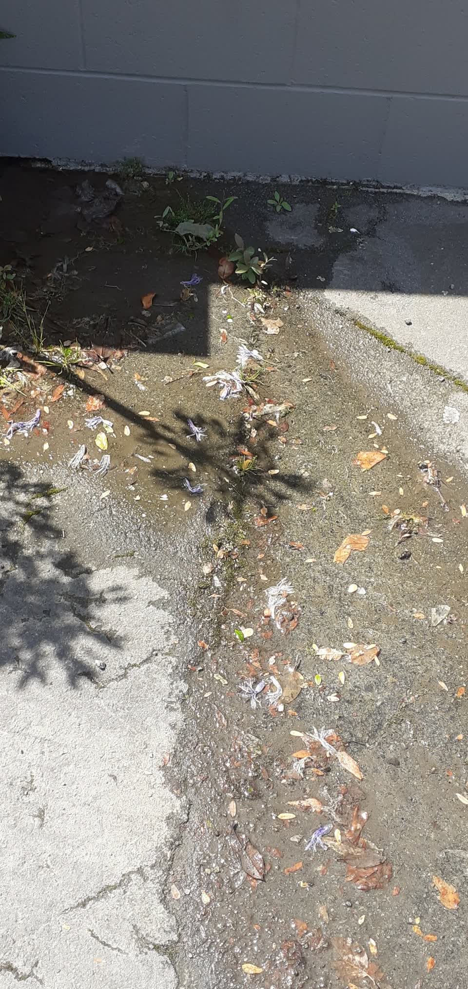 The photograph attached to this water supply report
