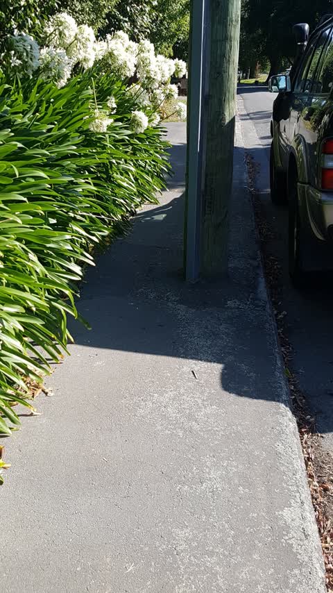 Roading/Streets, a report photo