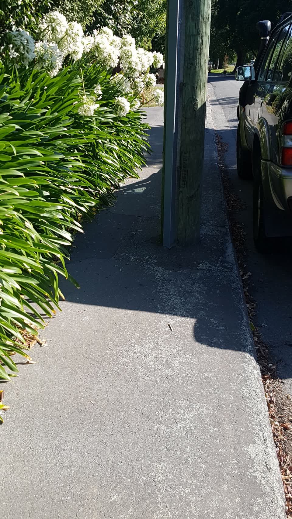 The photograph attached to this roading/streets report