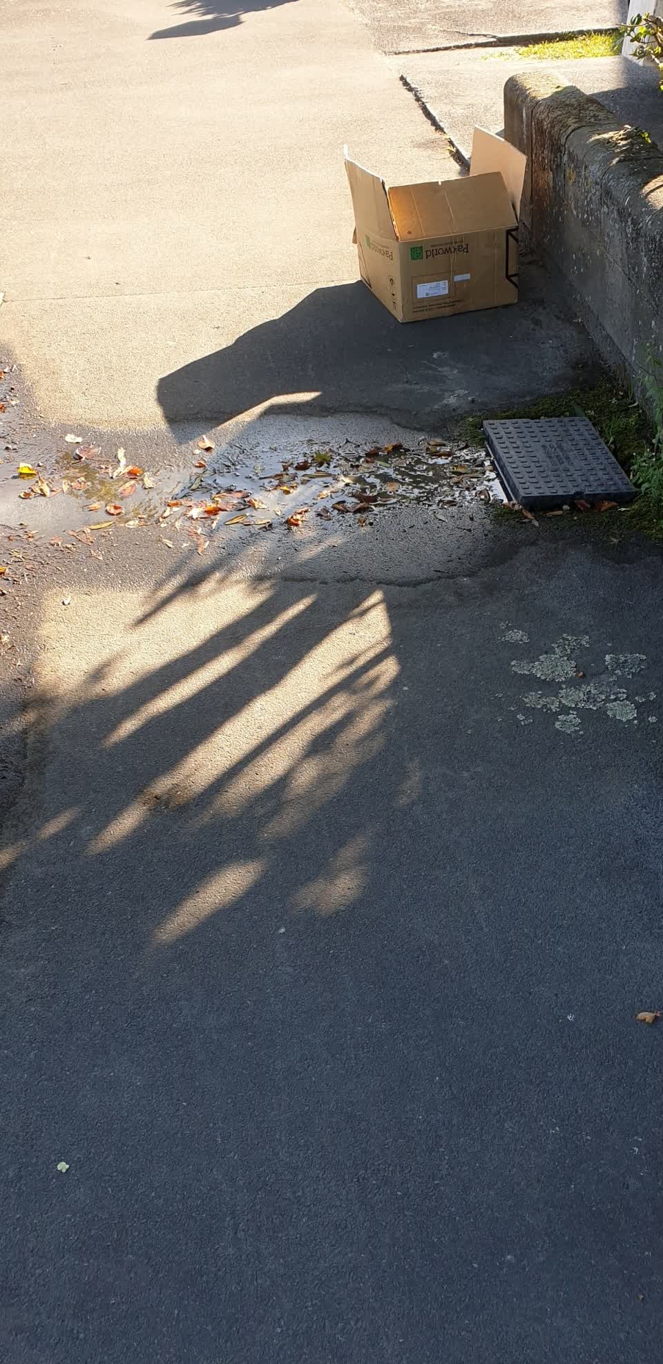 The photograph attached to this water supply report