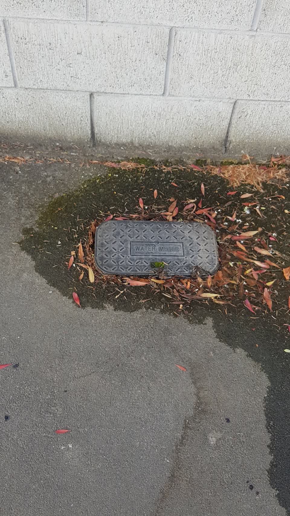 The photograph attached to this water supply report