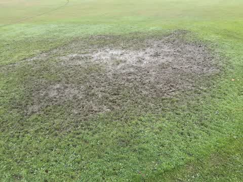 Parks, a report photo