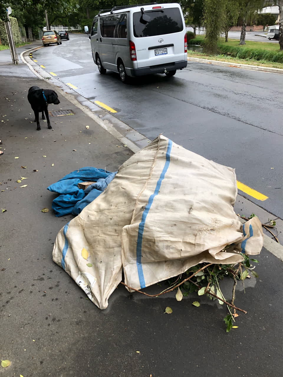 The photograph attached to this rubbish/recycling report