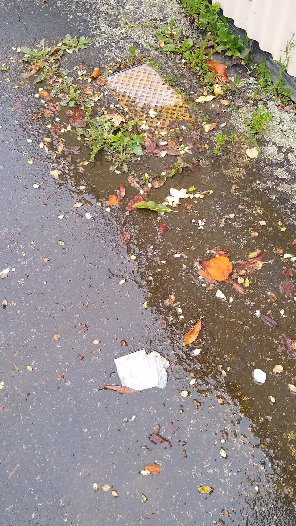 The photograph attached to this water supply report