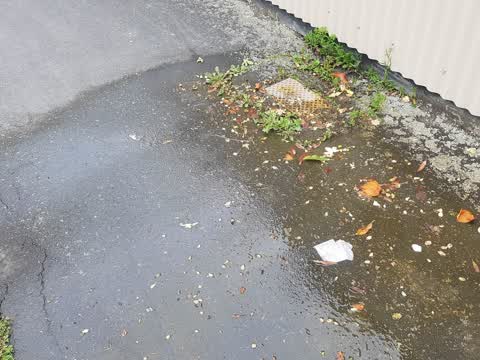 Water Supply, a report photo