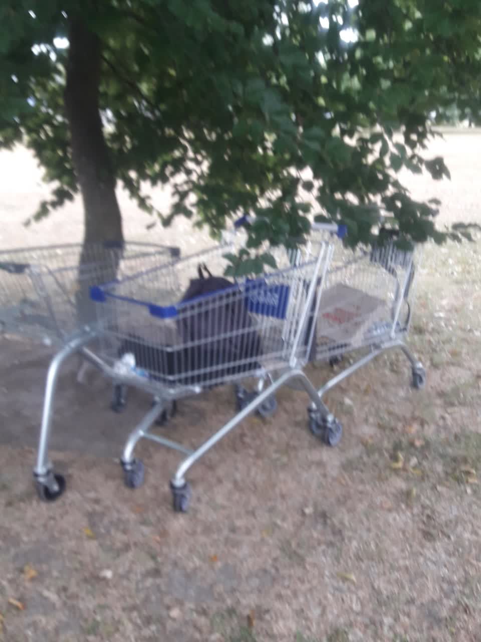 The photograph attached to this parks report