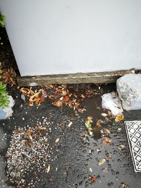 Water Supply, a report photo