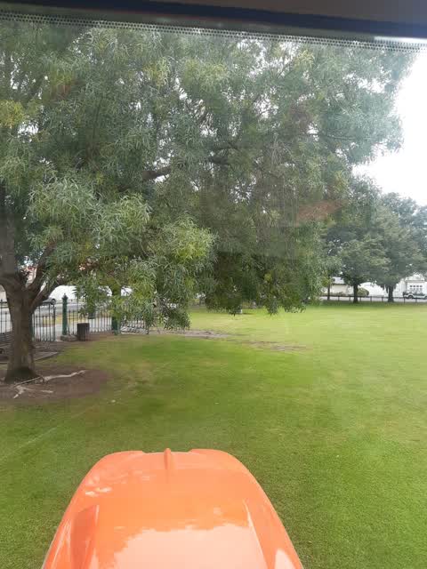 Parks, a report photo