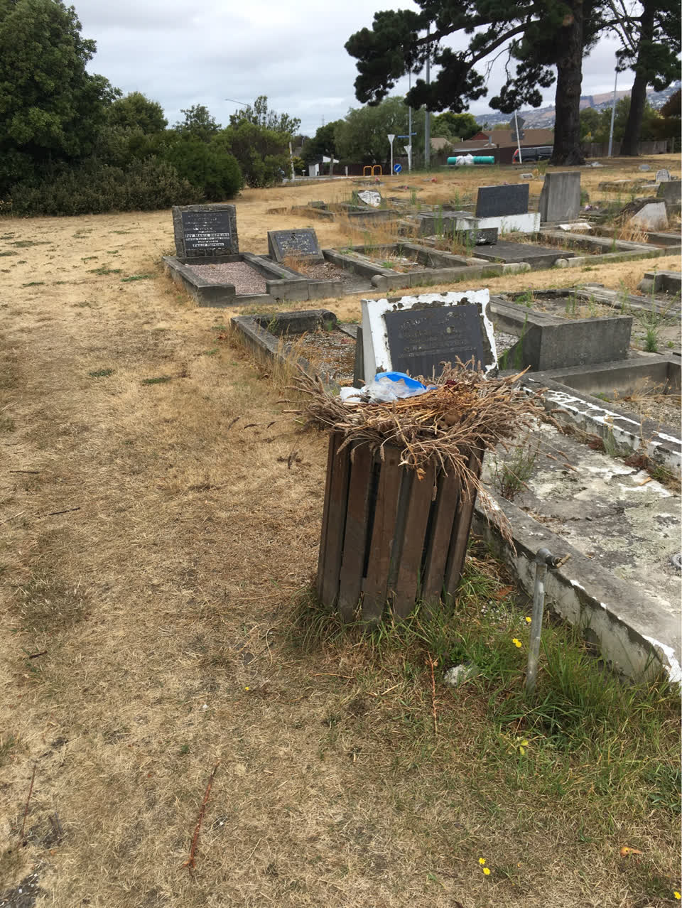 The photograph attached to this parks report