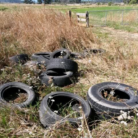 Rubbish/Recycling — a report photo