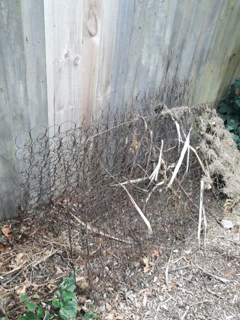 Rubbish/Recycling, a report photo