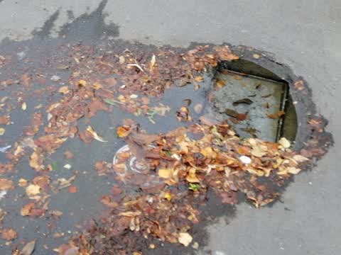 Water Supply, a report photo