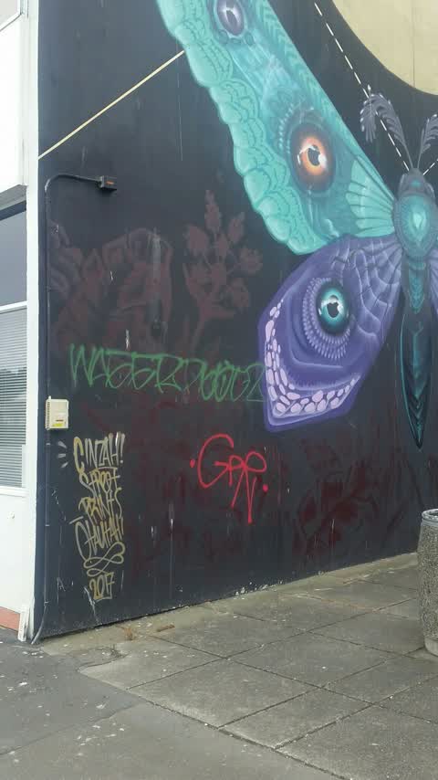 Graffiti, a report photo