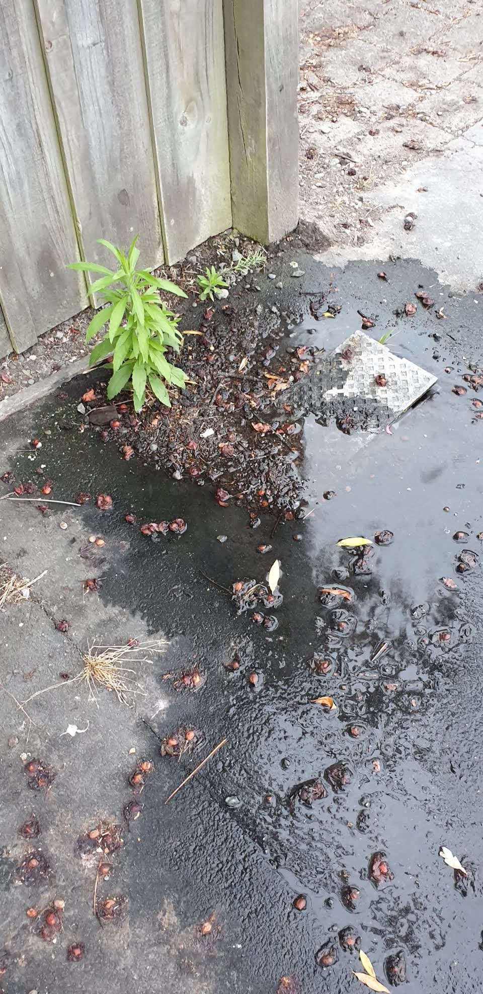 The photograph attached to this water supply report