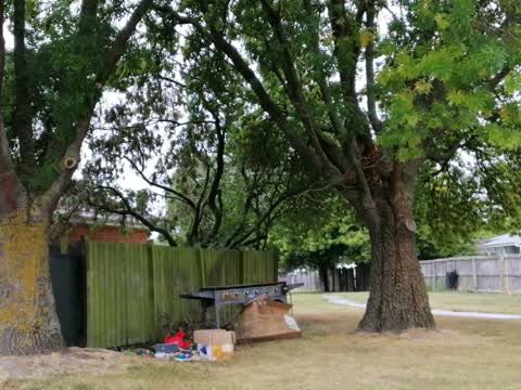 Rubbish/Recycling — a report photo
