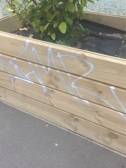Graffiti, a report photo