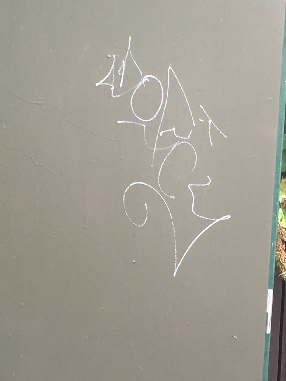 The photograph attached to this graffiti report