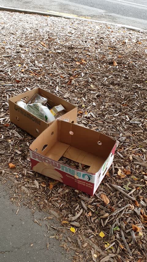 Rubbish/Recycling, a report photo