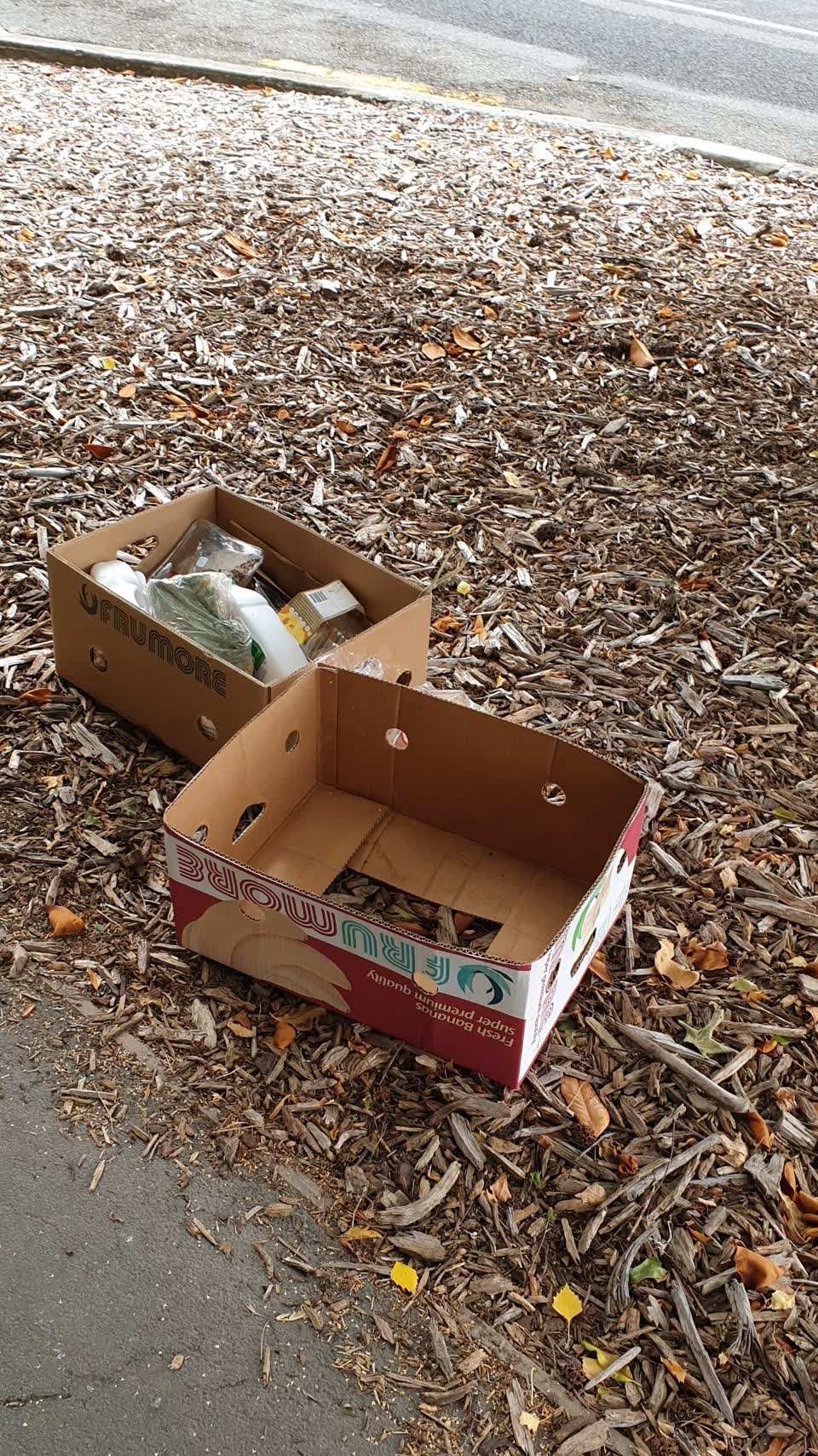 The photograph attached to this rubbish/recycling report