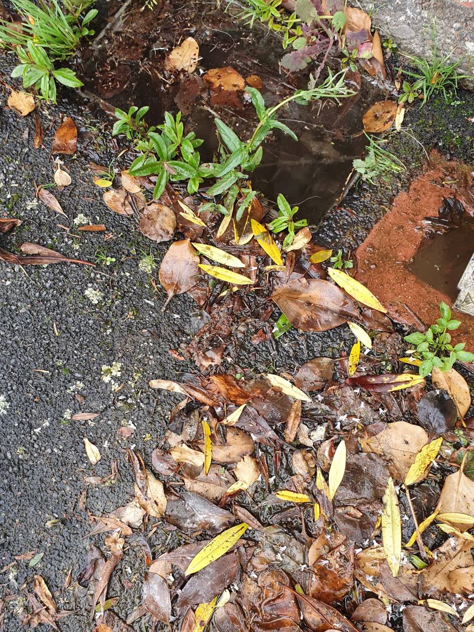 The photograph attached to this water supply report