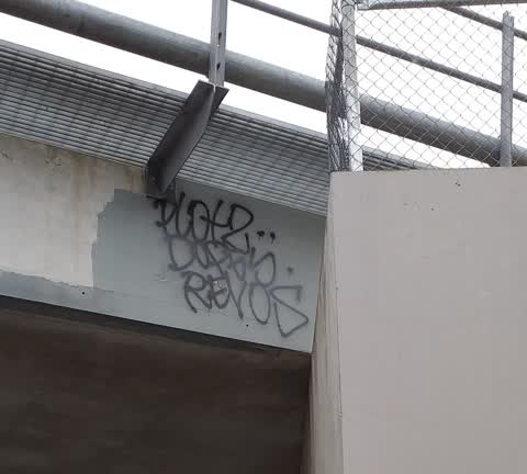 Graffiti, a report photo