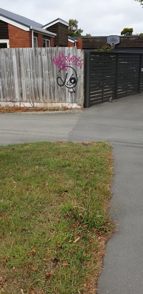 Graffiti, a report photo