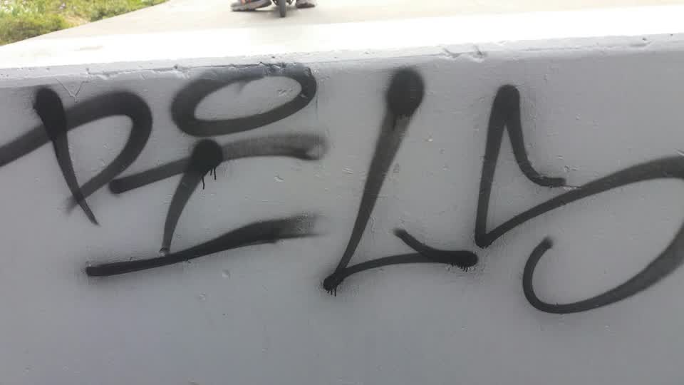 The photograph attached to this graffiti report