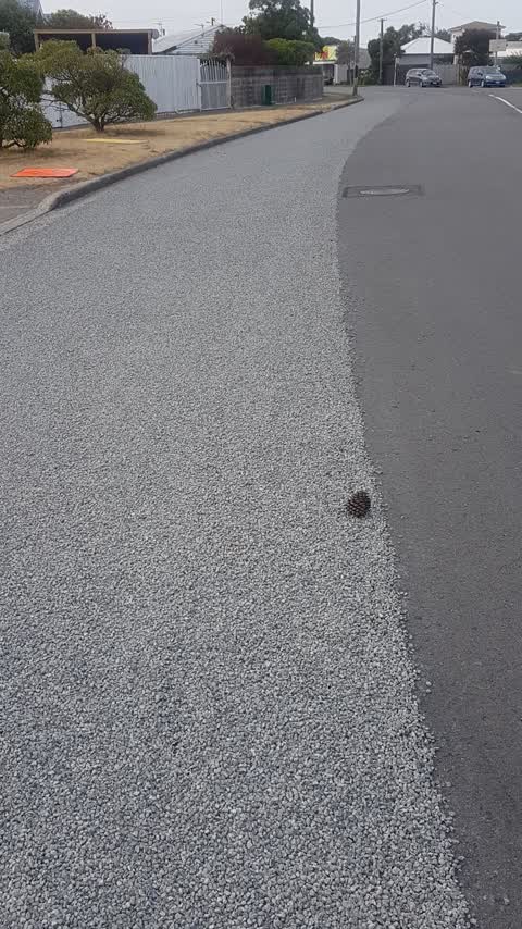 Roading/Streets, a report photo