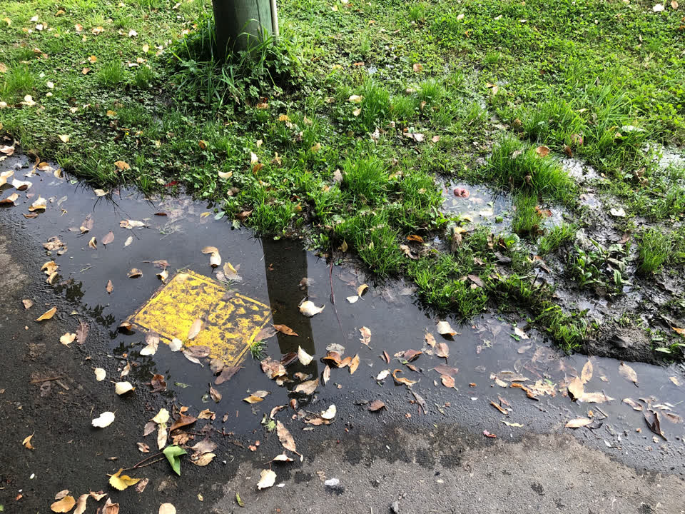 The photograph attached to this flooding report