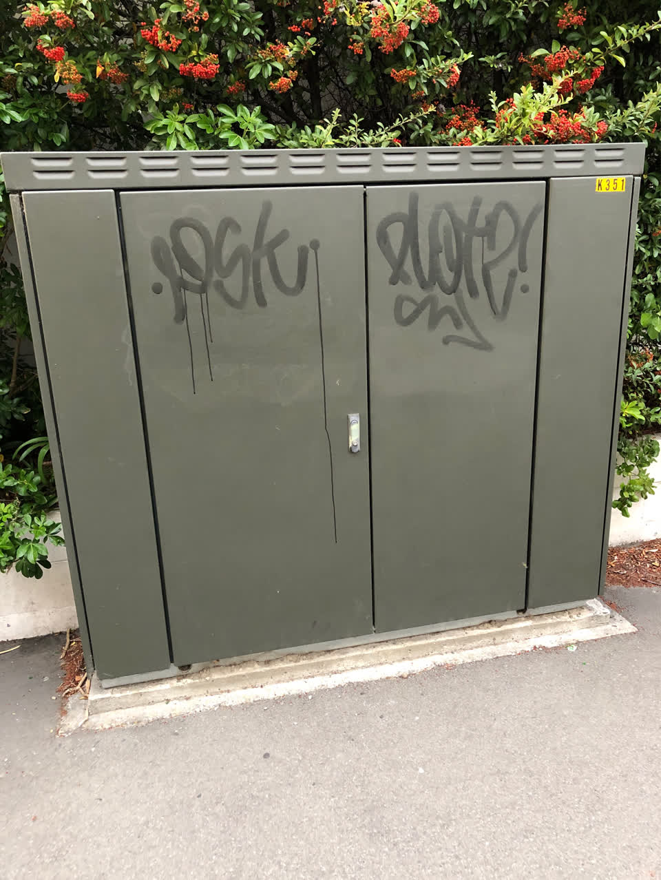 The photograph attached to this graffiti report