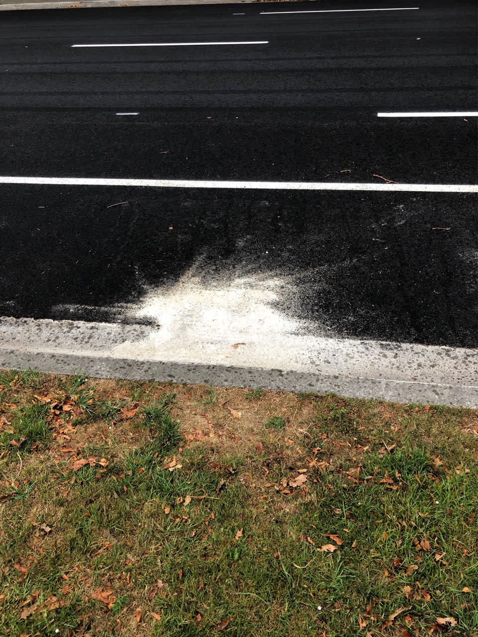 The photograph attached to this roading/streets report