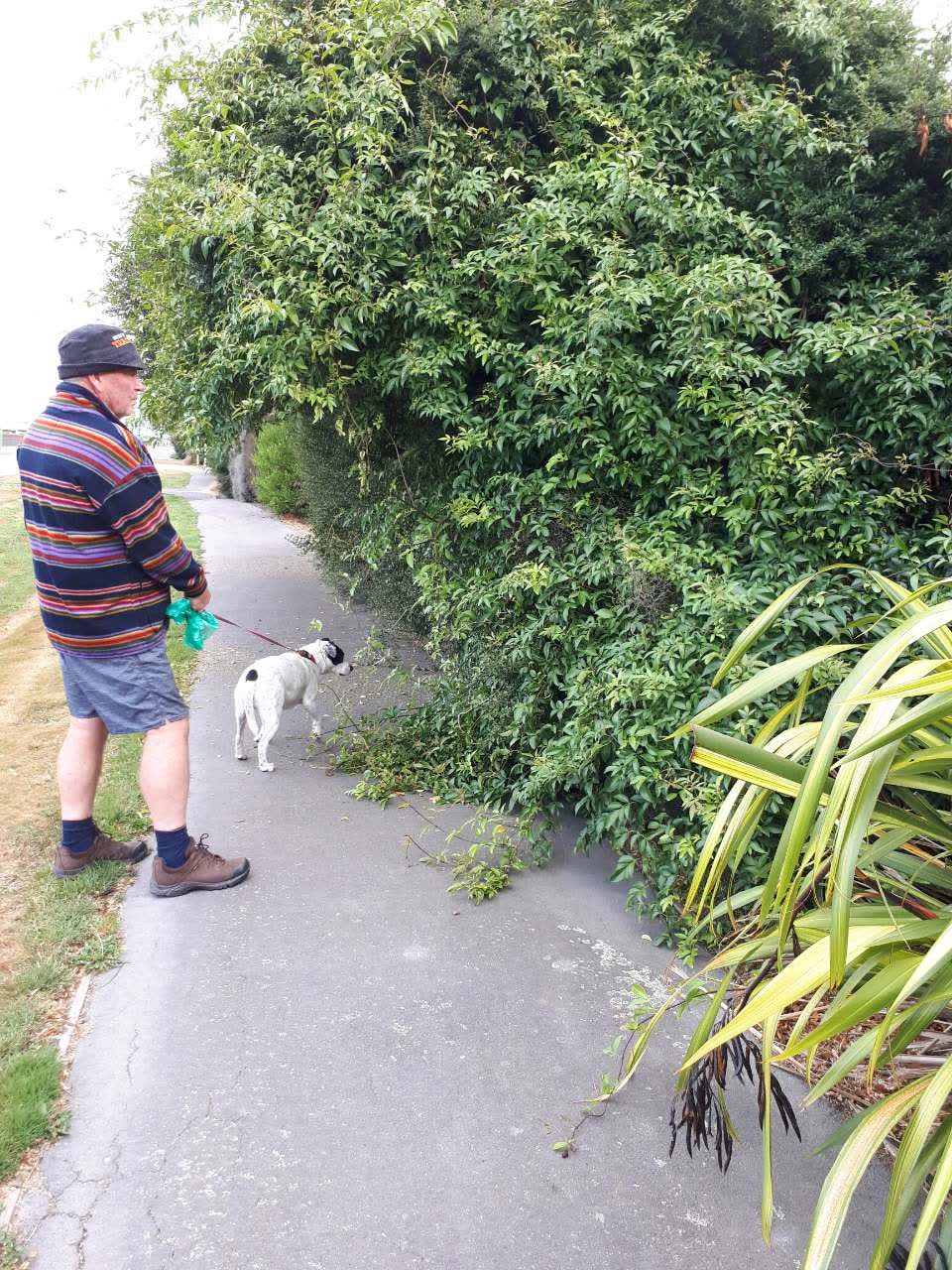 The photograph attached to this parks report