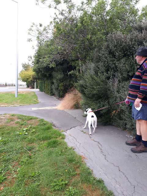 Parks, a report photo