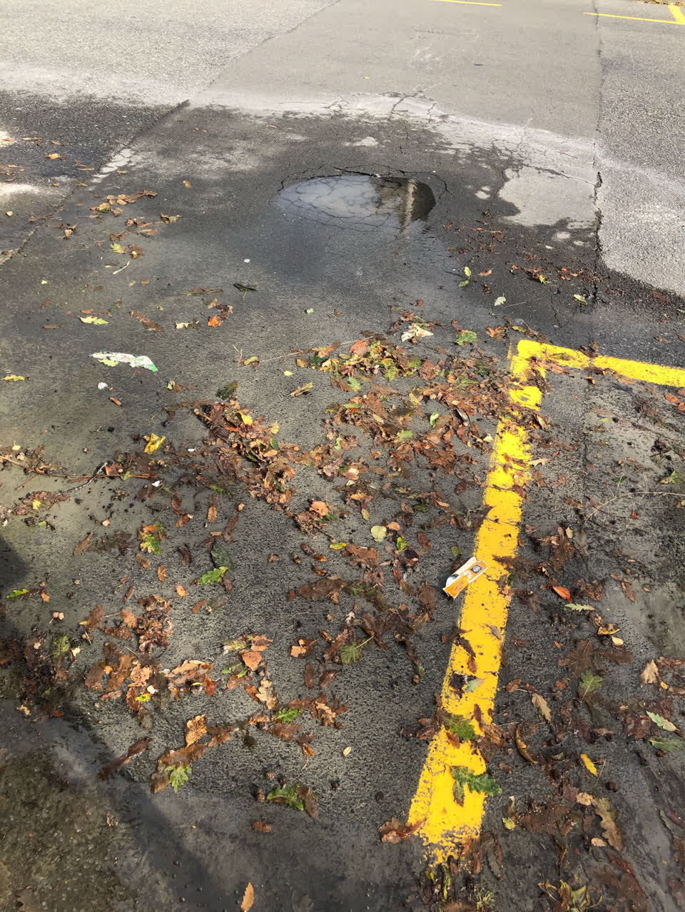 The photograph attached to this wastewater/stormwater report