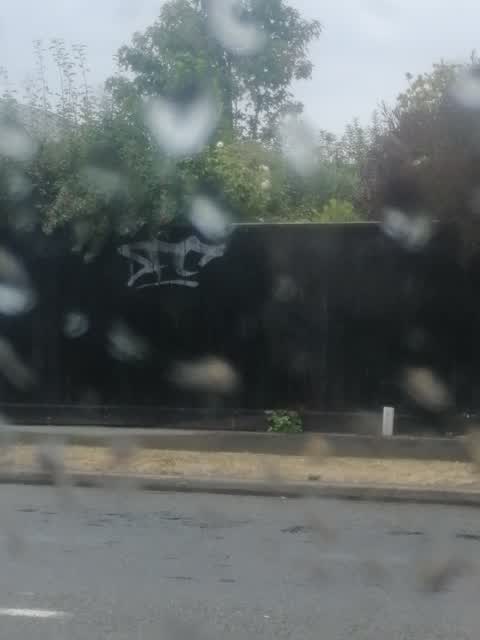 Graffiti, a report photo