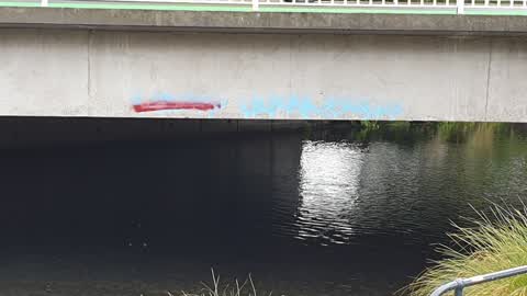 Graffiti — a report photo