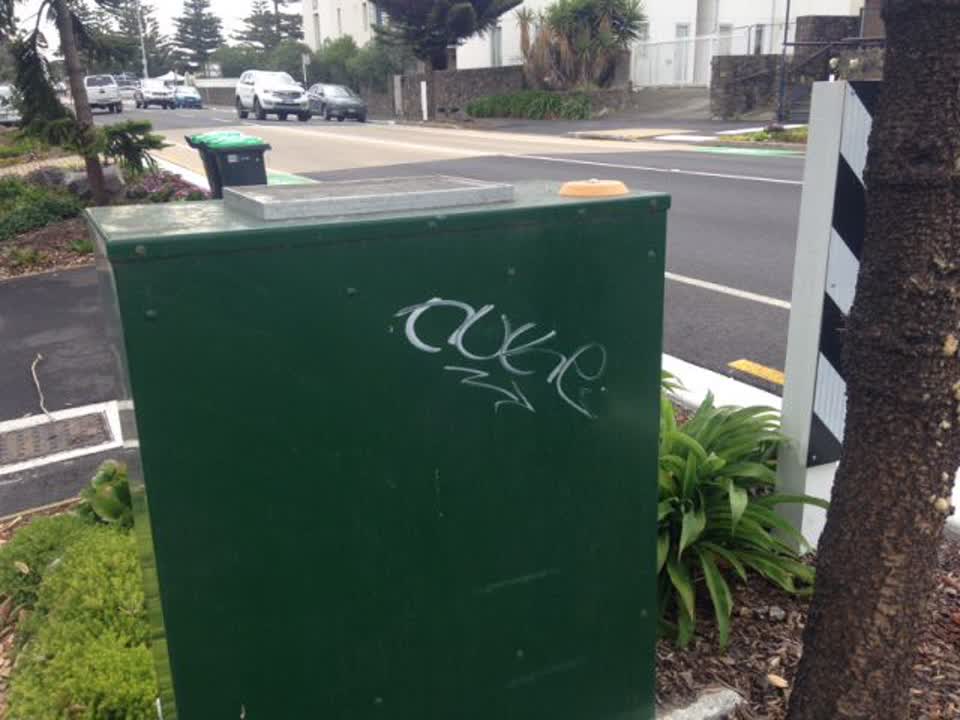 The photograph attached to this graffiti report
