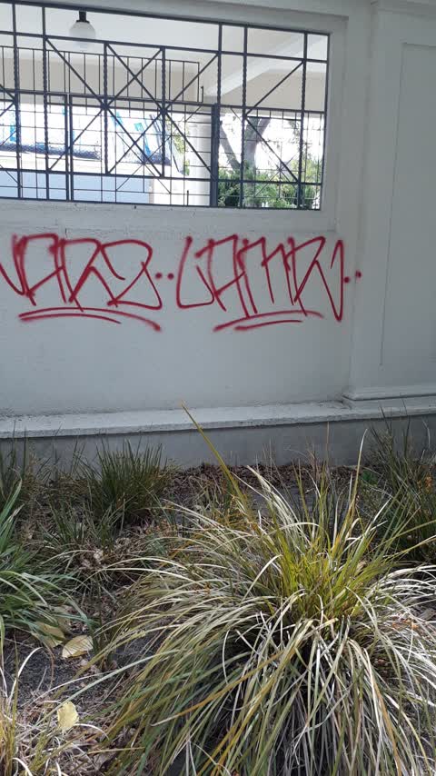Graffiti, a report photo
