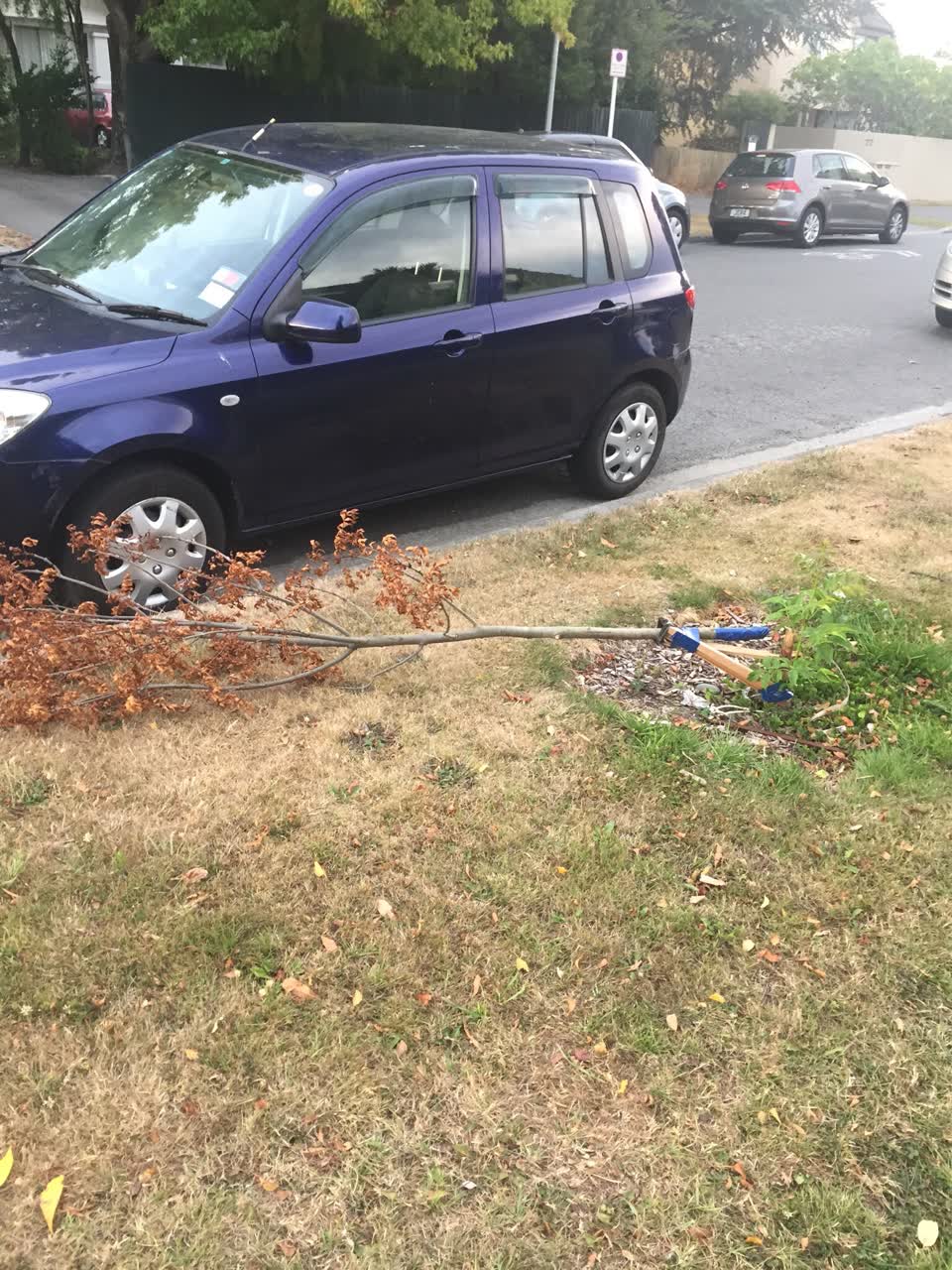 The photograph attached to this roading/streets report