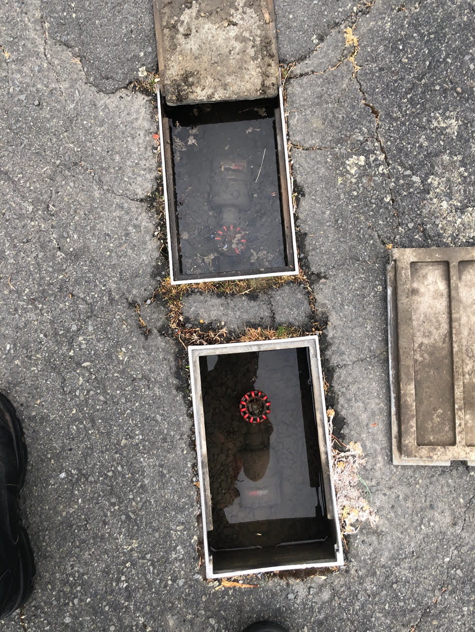 The photograph attached to this water supply report
