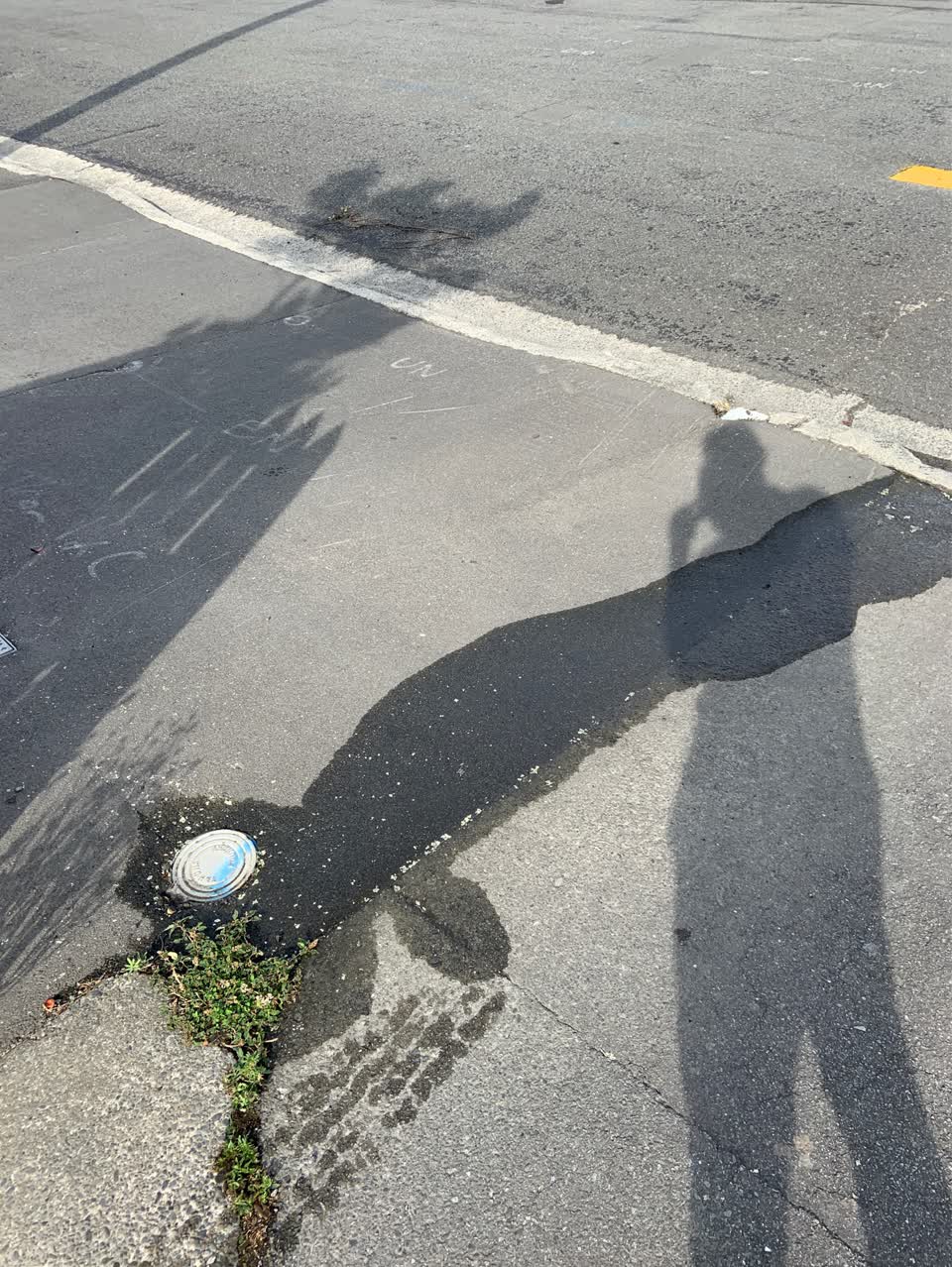 The photograph attached to this water supply report