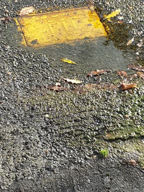 Wastewater/Stormwater, a report photo