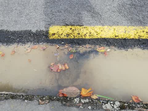 Water Supply, a report photo
