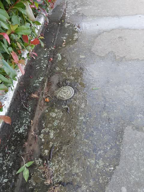 Water Supply, a report photo